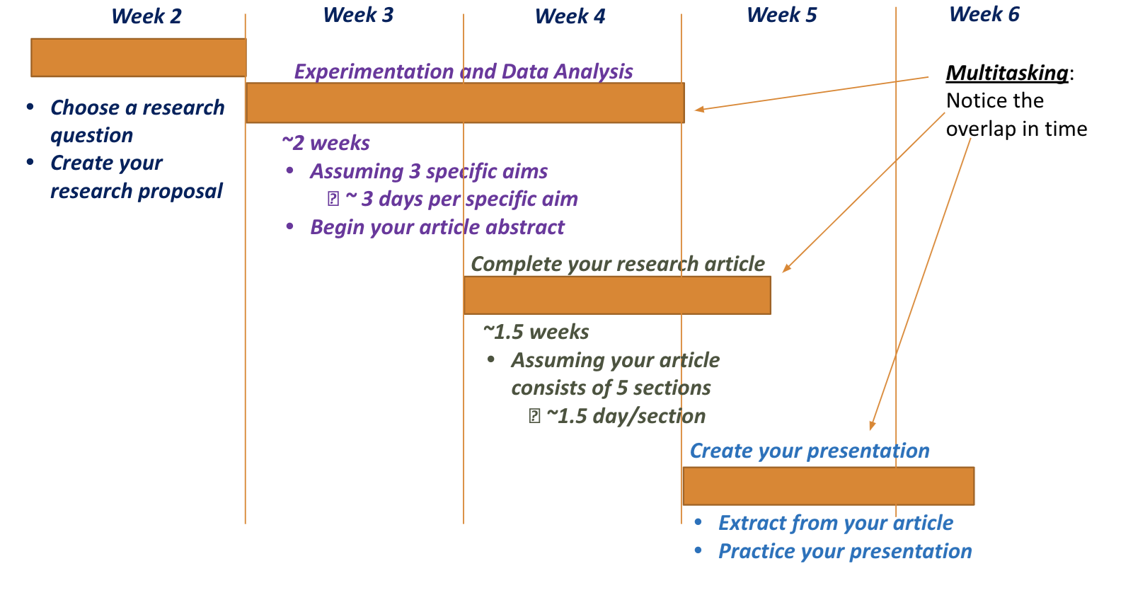 Fictional Timeline